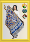 Nellore Silk Kalamkari Dupatta with Nizam Zari Border