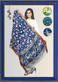 Nellore Silk Kalamkari Dupatta with Nizam Zari Border