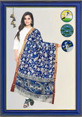 Nellore Silk Kalamkari Dupatta with Nizam Zari Border